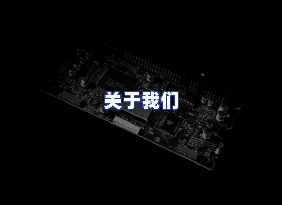 专业团队