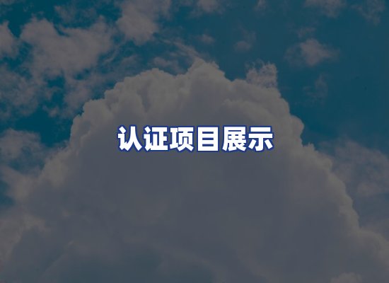 认证项目展示